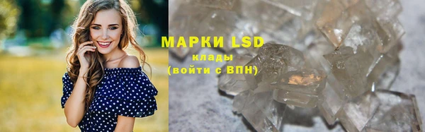 ПСИЛОЦИБИНОВЫЕ ГРИБЫ Абаза