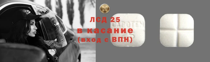 ПСИЛОЦИБИНОВЫЕ ГРИБЫ Абаза