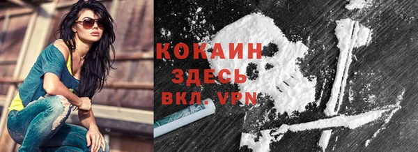 ПСИЛОЦИБИНОВЫЕ ГРИБЫ Абаза