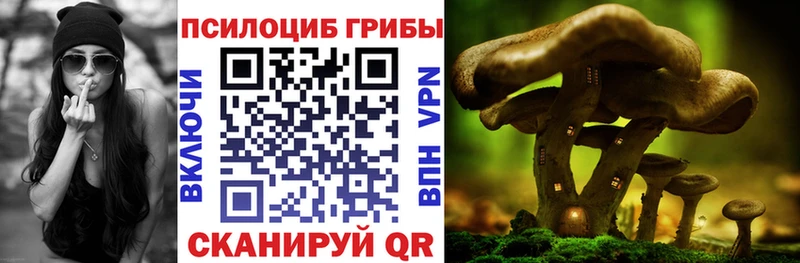 нарко площадка какой сайт  Чулым  Галлюциногенные грибы ЛСД  купить  цена 